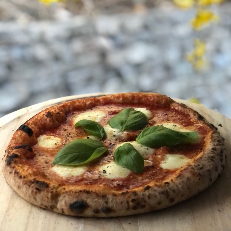 pâte à pizza sans gluten fioreglut caputo