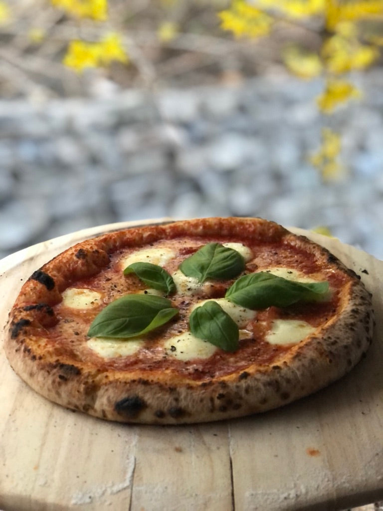 pâte à pizza sans gluten fioreglut caputo