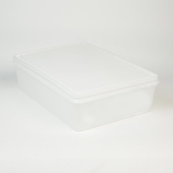 Petit bac de fermentation levée efficace pâton pâte à pizza maison